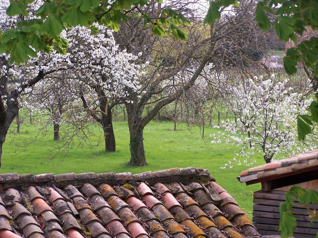 Clos De Pomeir Vendégház Pommiers  Kültér fotó